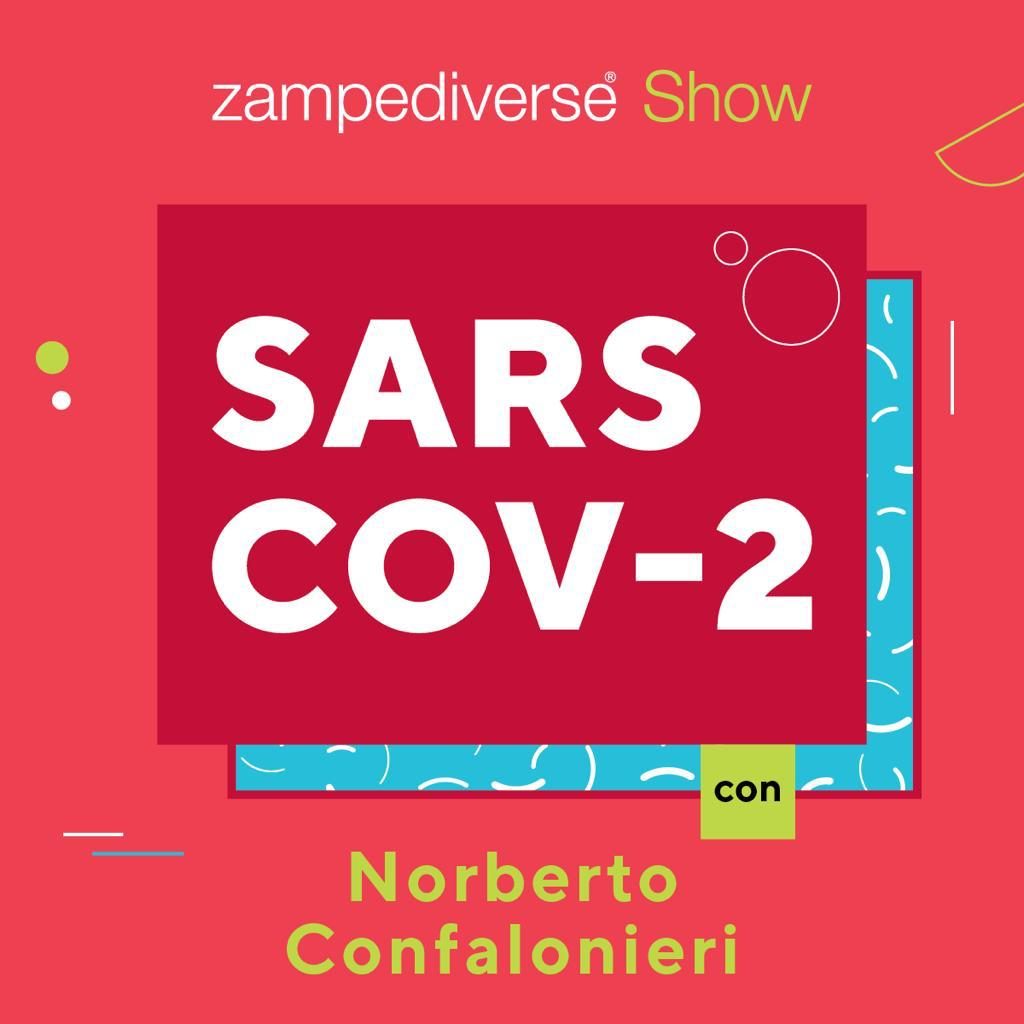 Sars Cov-2 intervista per Zampediverse Show