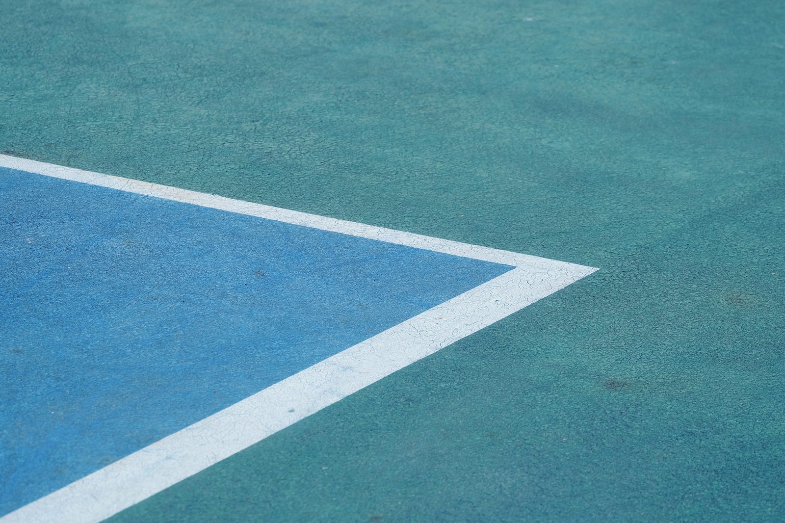 Valutare l’importanza dello sport nei pazienti con endoprotesi articolari di ginocchio e anca